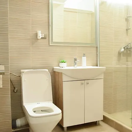 Apartament Arina R 公寓 *
